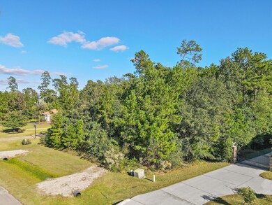 5414 Harvest Oak Landing Dr, Spring, TX 77386 - photo 2