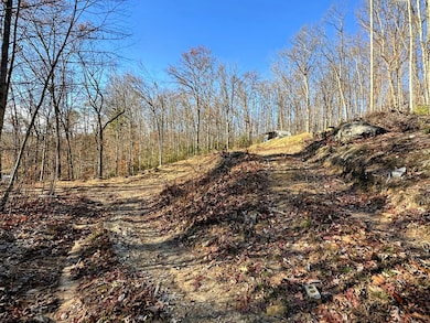 83 Farris Ln, Fayetteville, WV 25840 - photo 5