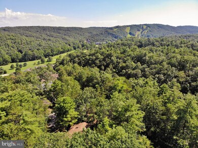 21 Pickett St, Basye, VA 22810 - photo 7