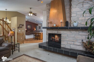 Wood Burning Fireplace