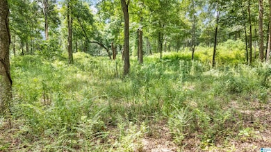Lot 7 Hebb Rd unit 7, Wilsonville, AL 35186 - photo 5