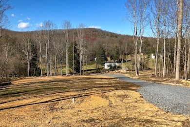 5489 Forge Rd, Glasgow, VA 24555 - photo 3