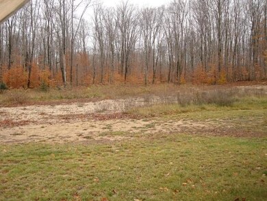 263-445358 Backyard