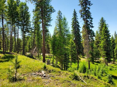 934 Montana Dr, Seeley Lake, MT 59868 - photo 5