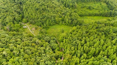 1235 Greenbrier Branch Rd, Campton, KY 41301 - photo 3