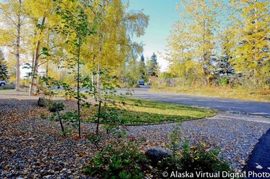 Street