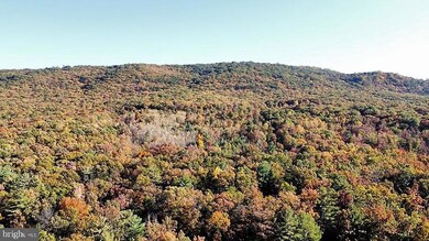 1501 Trout Run Rd, Wardensville, WV 26851 - photo 7