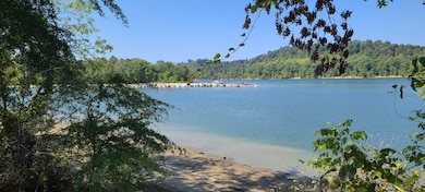 2563 Hardin Bottom River Rd, Clifton, TN 38425 - photo 3