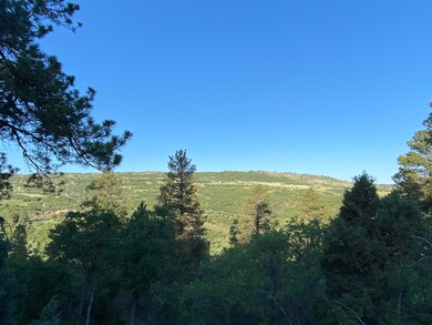 IMG_8356