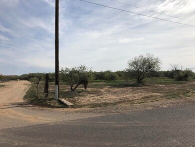 11th Ave Lot View of N Corner