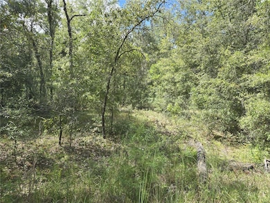 00 NE 150th Ct, Williston, FL 32696 - photo 2