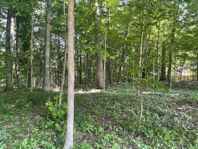 0 Laurel Crown Rd, Manchester, TN 37355 - photo 6