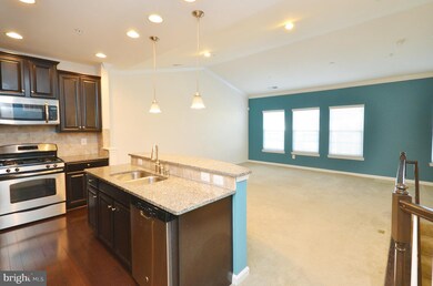 24684 Hutchinson Farm Dr, Sterling, VA 20166 - photo 4