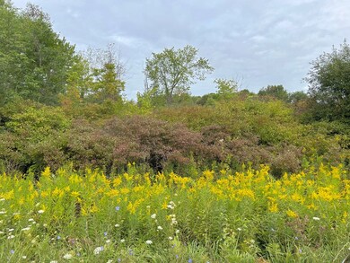 13114 Robinson Rd, Conneautville, PA 16406 - photo 2