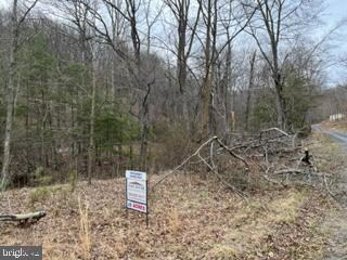 49.76 Acres Ewing Dr, Baker, WV 26801 - photo 5