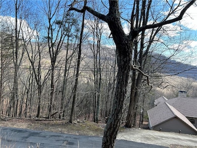 View of Mountains Taken while Standing on Lot