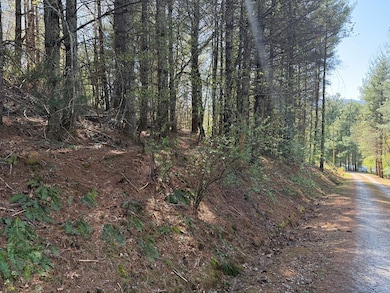 00 Appleberry Ln, Franklin, NC 28734 - photo 4