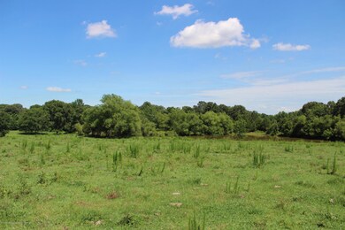 lot 4 and 5