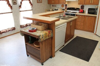 176 Greene 142 Rd, Paragould, AR 72450 - photo 6