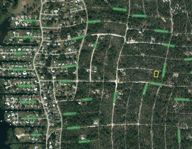 339 Stardust Ave, Lake Placid, FL 33852 - photo 5