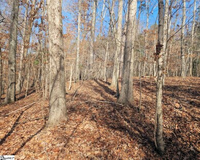 0 Boyds Mill Pond Rd unit 1514877, Laurens, SC 29360 - photo 5