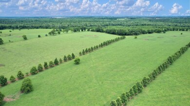 2700 Silo Rd, Edison, GA 39846 - photo 7