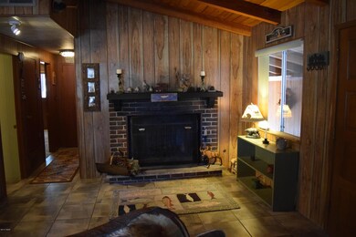 Cabin fireplace