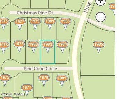 1982_PINE_Cone_Circle