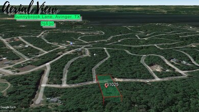 0 Sunnybrook Ln unit Avinger TX 75630, Avinger, TX 75630 - photo 3