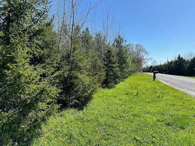 V/L Hipps Hollow Rd, Eau Claire, MI 49111 - photo 7