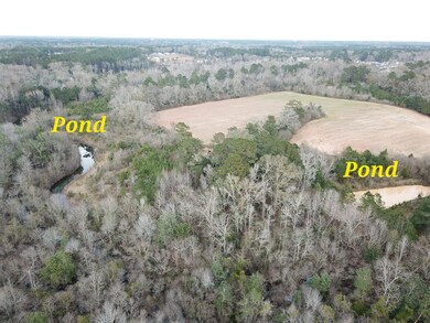 50.45 Acres Trawick Rd, Dothan, AL 36301 - photo 4