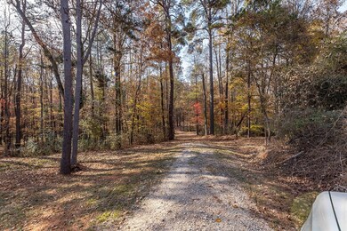 0 Highway 85 unit 224658, Waverly Hall, GA 31831 - photo 4