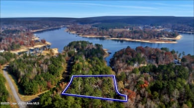 58 Long Point Rd, Double Springs, AL 35553 - photo 4