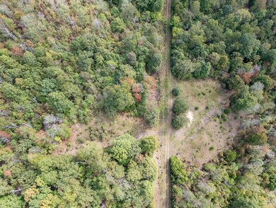 12958 N Highway 63, Hardy, AR 72542 - photo 7