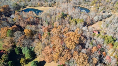 00 Ruby Ridge Rd, Franklin, NC 28734 - photo 7