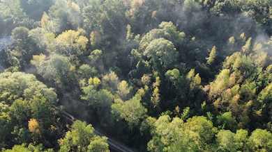 0 Highway 81, Notasulga, AL 36866 - photo 7