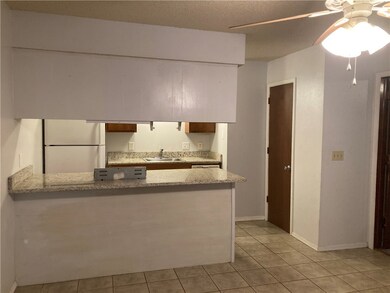 203 S Baggett St unit 2, Prairie Grove, AR 72753 - photo 3