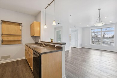 2803 E 38th St unit 202, Minneapolis, MN 55406 - photo 4