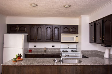 Main Level Kitchen