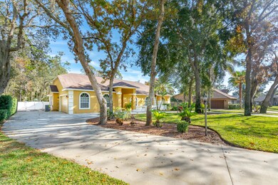 3 Double Branch-MLS-3