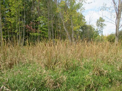 Parcel A N Felch Ave, Lincoln Township, MI 49349 - photo 4