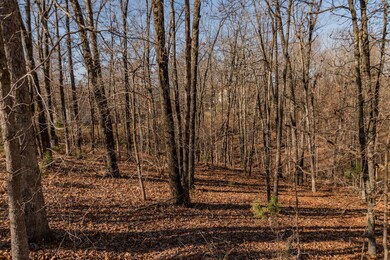 Lot #1 Raven Oak Dr, Kimberling City, MO 65686 - photo 3