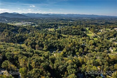 34 Forest Spring Dr unit 32, Asheville, NC 28804 - photo 5