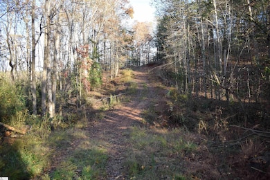 5231 Highway 11, Inman, SC 29349 - photo 2