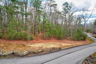 Lot 14 My Forest Trail, Morganton, GA 30560 - photo 5