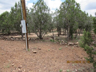 Thayer Lot 1317 (16)