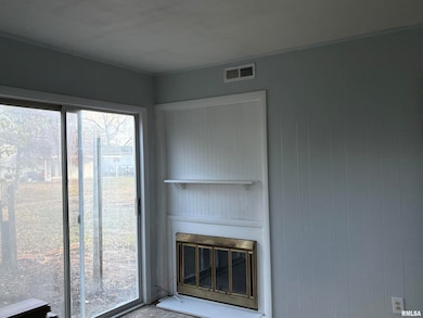 1010 Steven Ln, Murphysboro, IL 62966 - photo 6