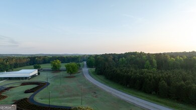 Sandtown Road Unit: 1 2+ - Acre, West Point, GA 31833 - photo 7