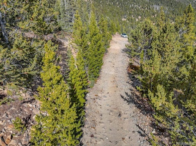 111 Hilltop Rd, Idaho Springs, CO 80452 - photo 7