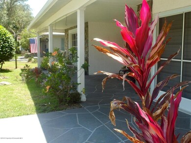 6201 Burning Tree Ln, Spring Hill, FL 34606 - photo 4